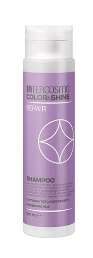 repair_champu_300